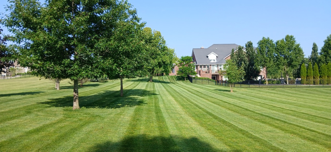 Residential Landscaping Company Near Me
