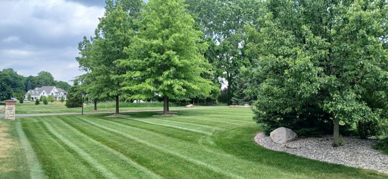 Residential Landscaping Company Near Me
