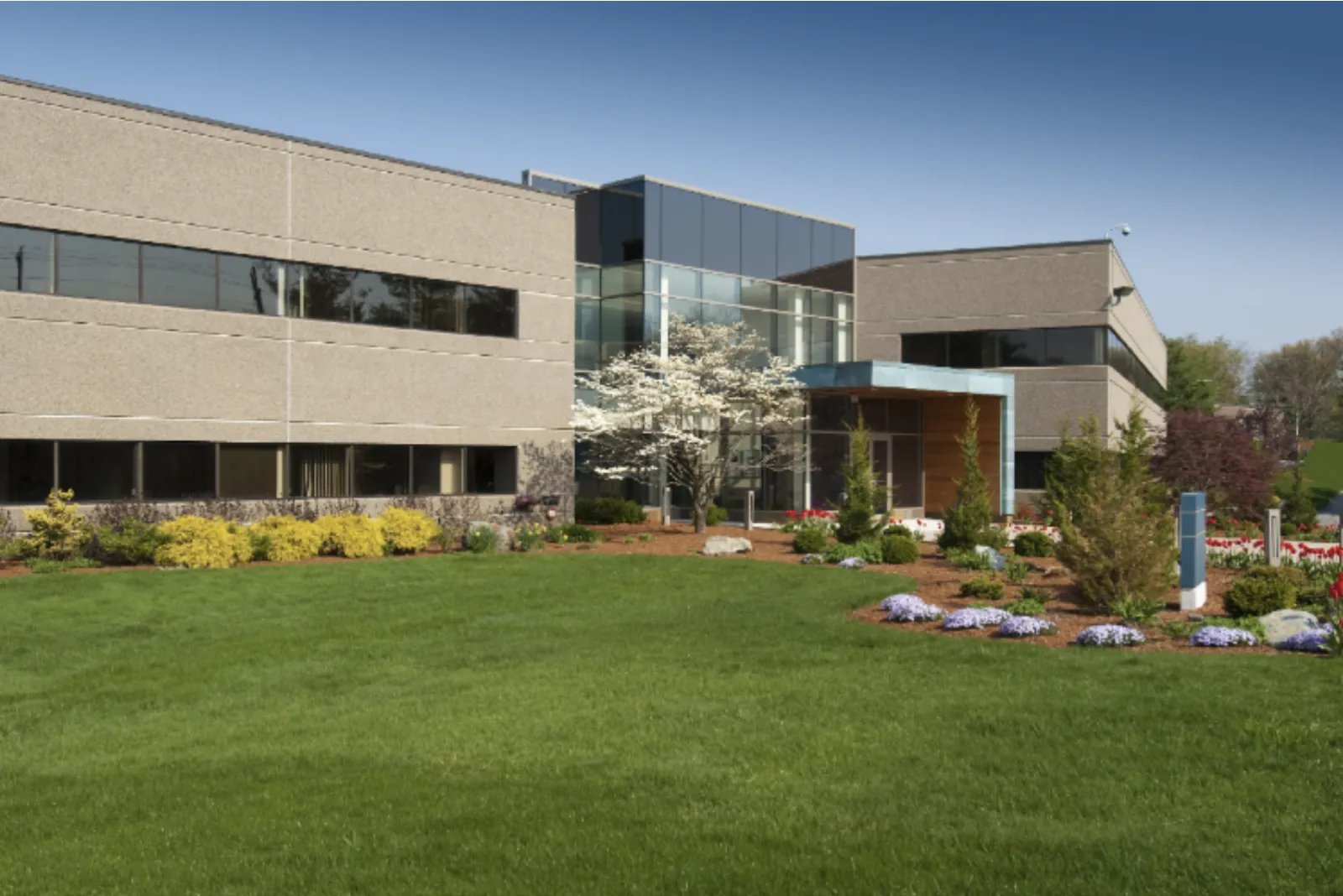 Commercial Landscaping
