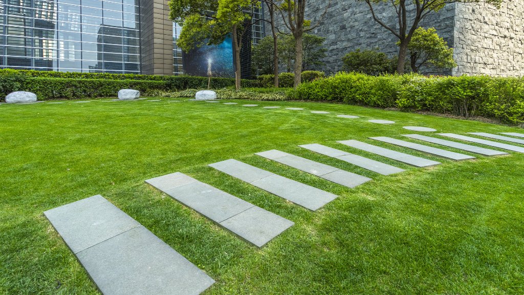 Lawn Maintenance