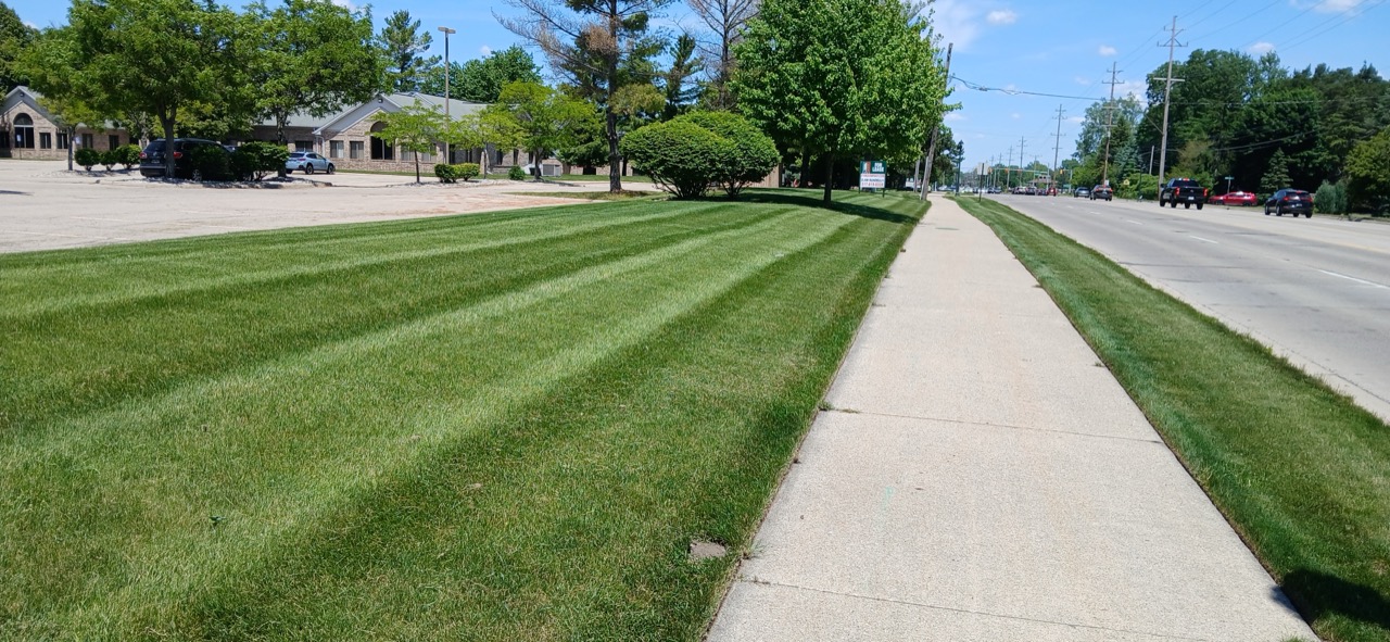Crisp mowing stripes along a commercial property’s roadside lawn and sidewalk