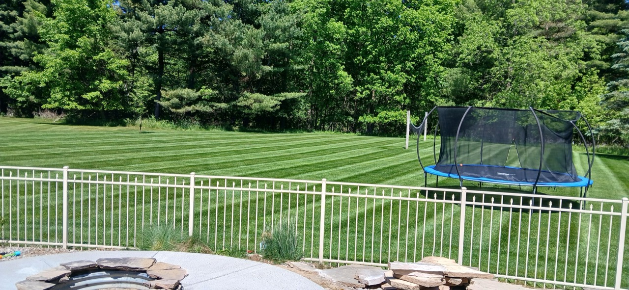 Striped backyard lawn with a trampoline and white aluminum fence bordering the property