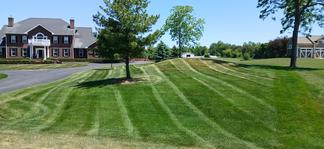 Wide, gently sloped estate lawn with clean mowing lines beside a long asphalt driveway
