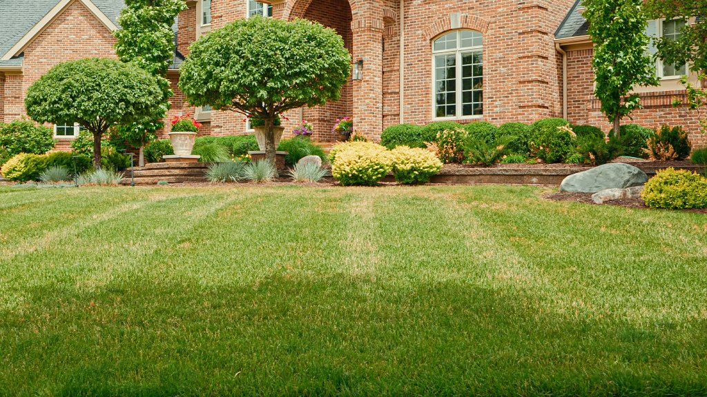 Lawn Maintenance