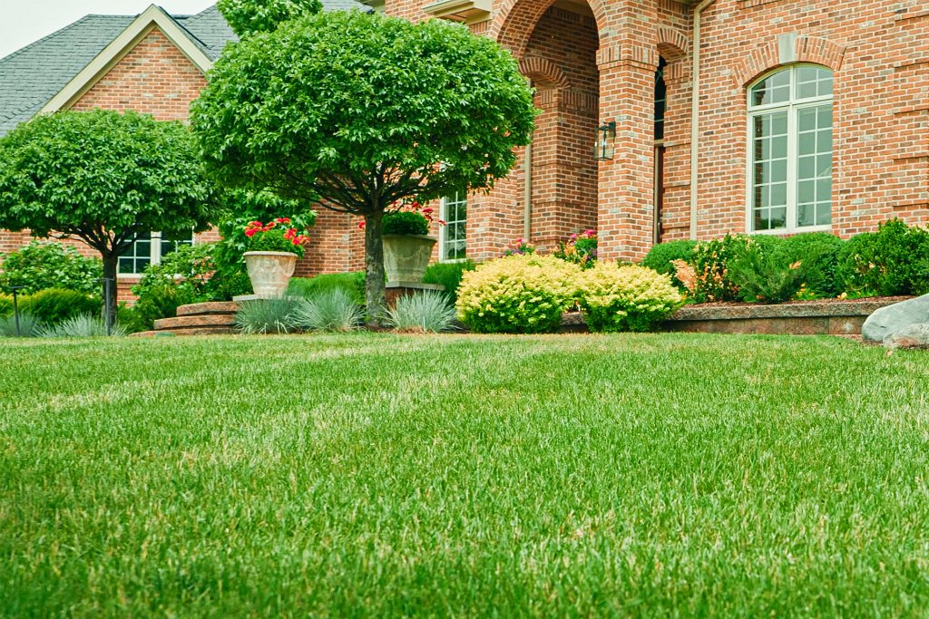 Landscaping services in Laingsburg, MI