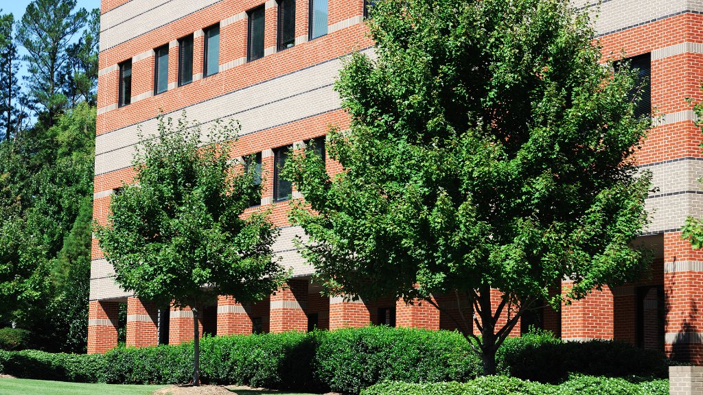 Landscape Maintenance