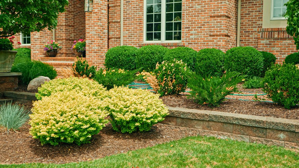 Residential shrub bed with retaining wall landscaping