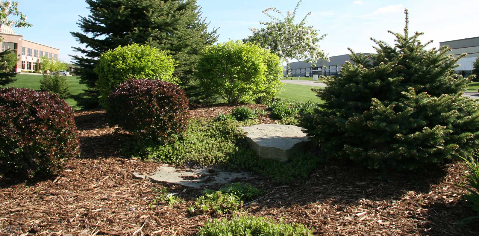 Lansing Landscaping Company Redwood Landscaping Landscaping Contractors Serving Mid Michigan Lawn Care Landscape Supplies And Maintenance Landscape Design Lansing Landscaping Holt East Lansing Okemos Grand Ledge Haslett Dewitt